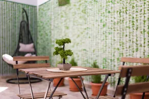 Thisio_Oasis - Image 5