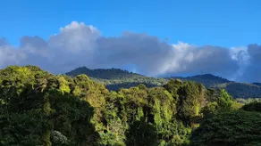 Casa Jaspe Monteverde - Balcón vista en Monteverde - Image 2