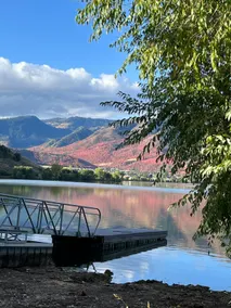 Mantua Lake House - Image 5