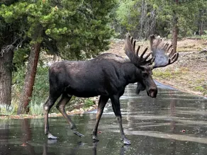 Aspen Springs Inn - Image 5