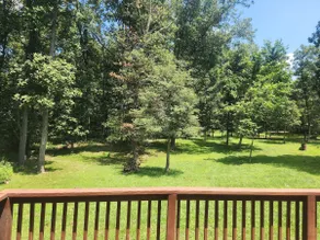 Backwoods Holler - Image 2