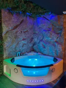 Suite with immersive decor and spa bath - Image 4