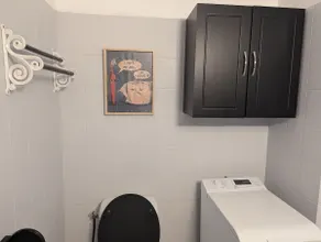 The Bangor Coon Apartment Liouba - Image 5