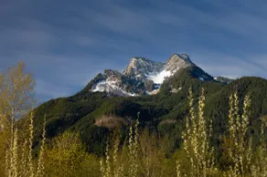 Peaceful River Guest Suite - Forests - Mountains - - Image 5