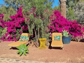 Oasis San Martin El Cotillo - Image 3