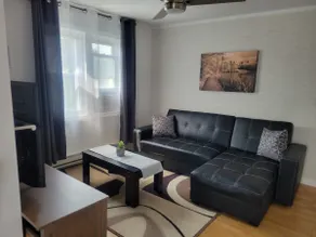 Entire 2Bed Apt Rental in Gatineau-5mins to Ottawa - Image 2