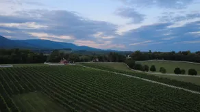 Ramsay Estate Cottage – Historic Vineyard Retreat with Mountain Views - Image 2