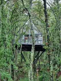 Pahuen Cabin (Punta del Bosque) - Image 2