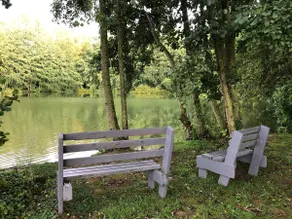 The Cottage by the Pond - Image 5