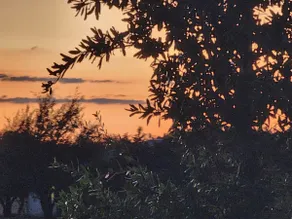 Country getaway - Image 4