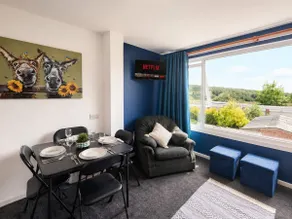 Flat, 2 double beds, free parking, near Arena - Image 3