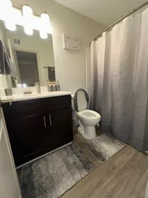 Luxury Buckhead Apartment - Image 4