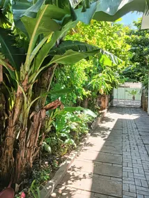 1 bedroom house, 2 beds, 3 people, air conditioning, TV, garage - Image 5