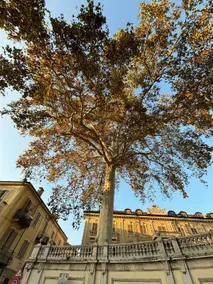 Casa della Cattedrale - Image 5