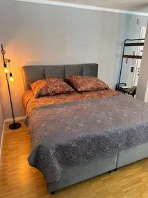Studio apartment in Stein near Nuremberg - Image 5