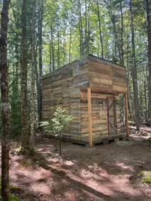 Stagecoach Stop Balsam Hill Cabins - Image 2