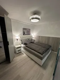 Newly renovated apartment ”RheinNest” - Image 3