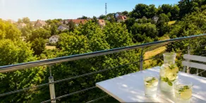 75 m², renovated, balcony with Vosges view, air conditioning, parking - Image 3
