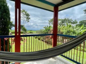 Coffee farm with pool and heated Jacuzzi - Image 4