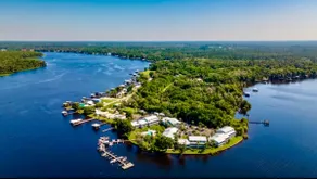 St John’s River Wonder - Image 5