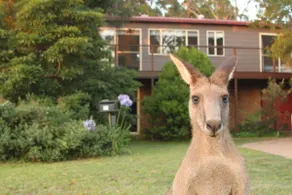 Jan's Retreat by Experience Jervis Bay - Image 2