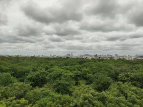 Manu’s Retreat - 1BHK - Image 5