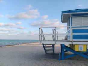 The Hollywood Beach Experience - Image 4