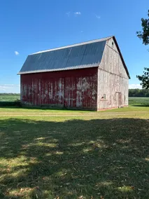 The Farm - Image 3