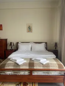 Apartment near Vake Park - Image 4
