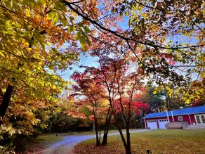 Private Forest Retreat + Hot Tub, 25m to Nashville - Image 2