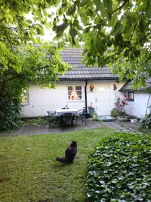 Lovely cottage at the south coast 3,5km to the sea - Image 2