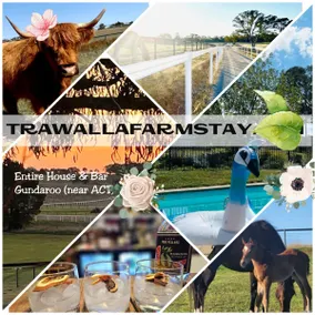 Trawalla Farmstay: House & Bar - Great for Groups - Image 2