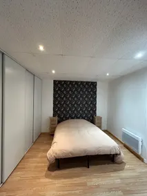 Large cozy apartment - Castres center - Image 3