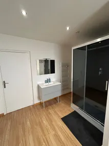 Large cozy apartment - Castres center - Image 4