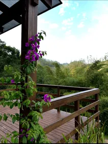 Double cabin with hydro and swimming pool - Image 3