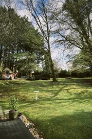 Woodland Cabin · Glass Walls · Near Harry Potter - Image 2