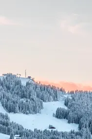 Chalet Mont d'Arbois Ski et Golf - Image 4