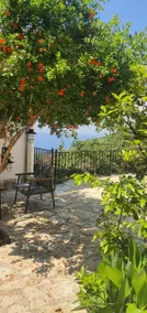 gjergji home - Image 3
