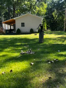 Indian Lake Cozy Cabin - Image 2