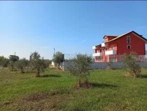 Villa degli Ulivi - Image 4