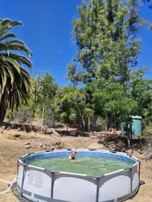 Oasis in the mountain, Quebrada Alvarado, Olmué - Image 3