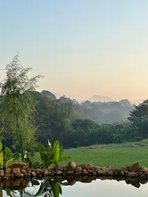 New rice paddies view villa - Image 4