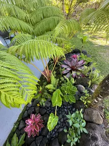 “Aloha Ohana”Tropical Garden, Peaceful Lanai, Pool - Image 5