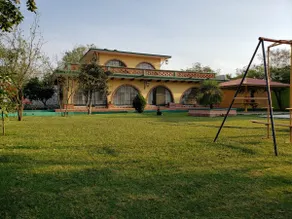 Palm trees and garden - Image 2