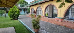 Palm trees and garden - Image 5