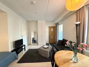 New Cozy Studio @ HEL Airport - Image 4