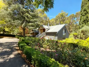 Cub House - Image 2