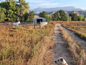 Two Sisters Ranch Casita - Image 4