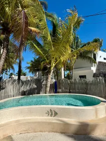 The House of Fish on the Beach - Image 5