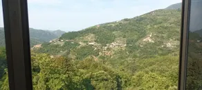 In the green of Velva - Image 3